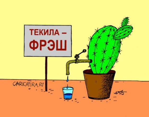 Юмор в картинках