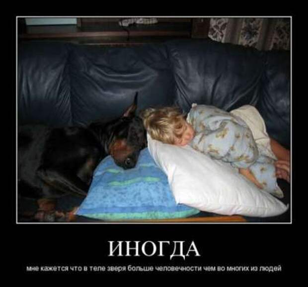 Демотиваторы по русски со смыслом.