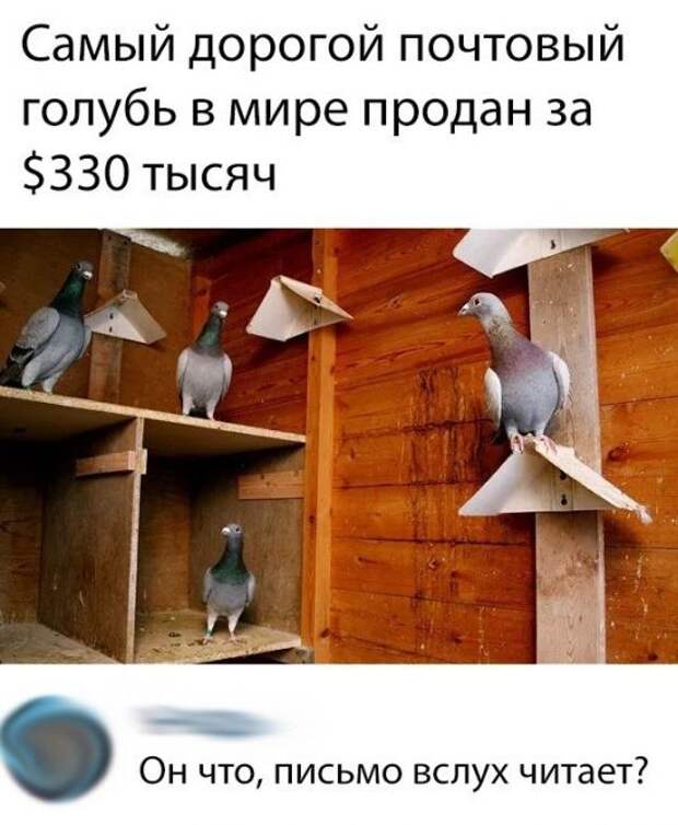 Наташа?