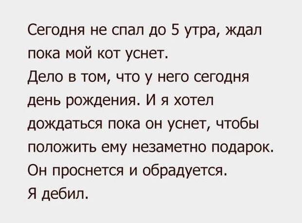 Смешные картинки с надписями прикол, юмор