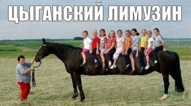 Анекдоты для настроения (10 шт)
