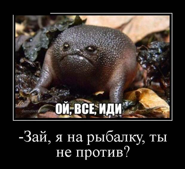 Подборка демотиваторов демотиватор, юмор