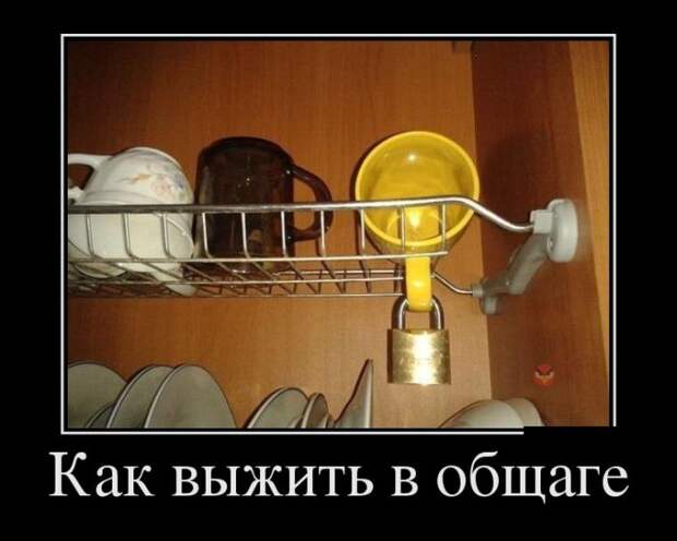 Демотиваторы демотиваторы, прикол, смех, юмор