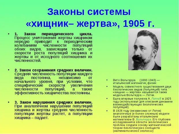 Опишите взаимодействие популяций хищник жертва в плане численности особей