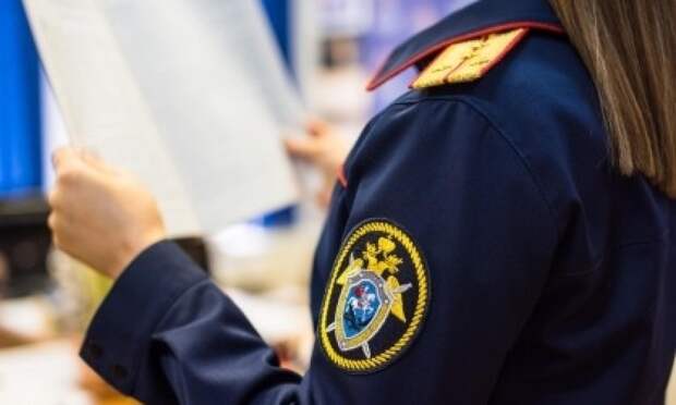 Житель Архангельска осужден за надругательство над Георгиевской лентой