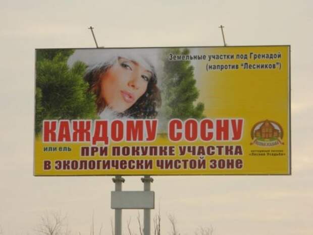 Смешные вывески, надписи и объявления (15 фото)