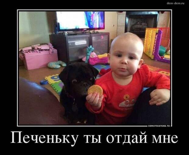Демотиваторы демотиваторы