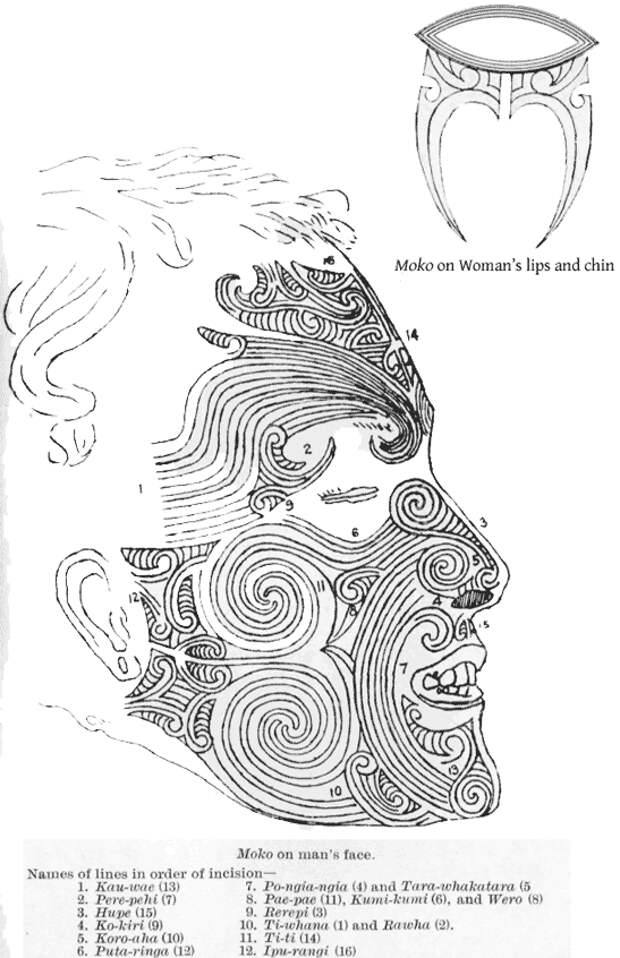 эскизы татуировок племени маори