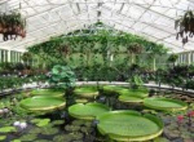 Royal Botanic Gardens, Kew, London, England, United Kingdom - Garagu, Your travellers social network