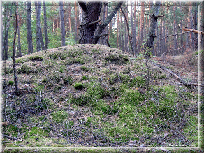 5 (700x525, 676Kb)