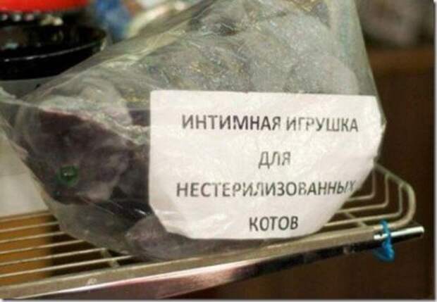 Тупые объявления и глупая реклама Тупые объявления и глупая реклама