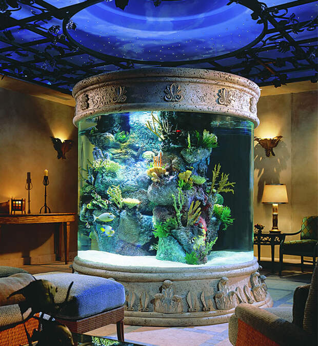 Красивые аквариумы в интерьере фото