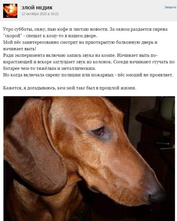 Курьезные случаи из врачебной практики. Часть 42