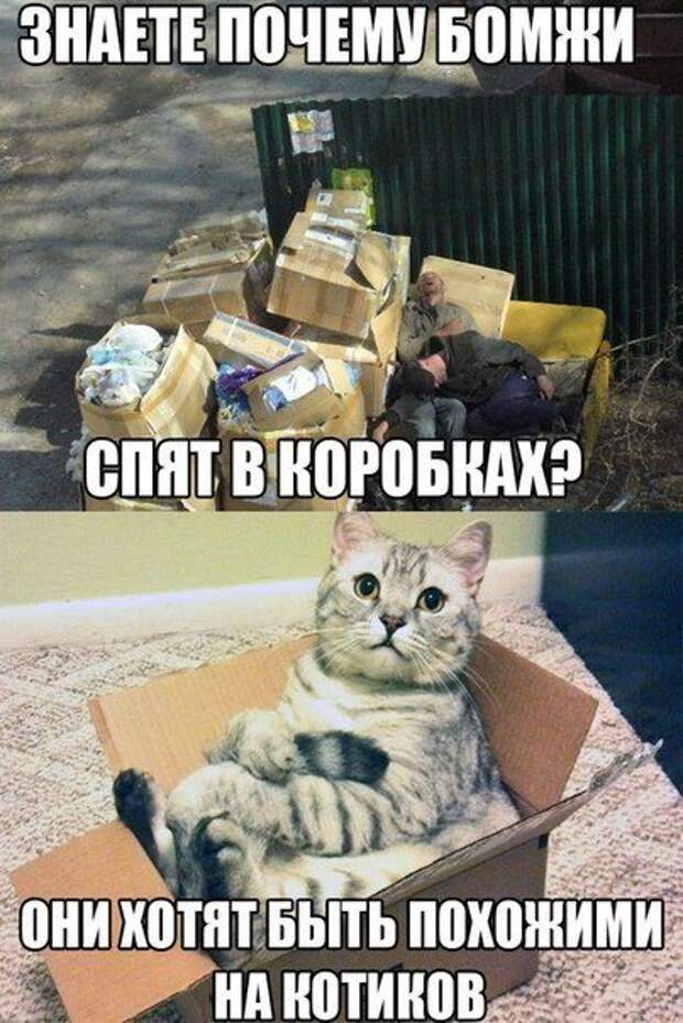 Фразы в картинках