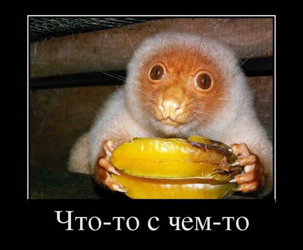 Демотиваторы демотиваторы, прикол, смех, юмор
