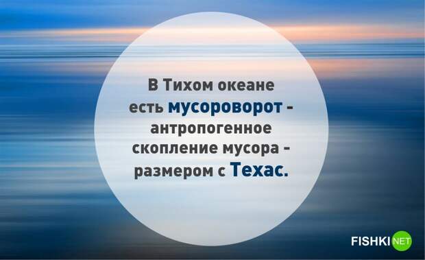 9. Отличное место, чтобы отправить туда всех хипстеров очевидное-невероятное, удивительные факты