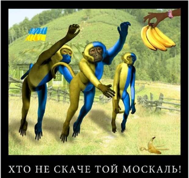 Еще живы, скакуны? Еще живы, скакуны?