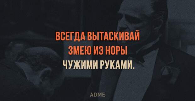 ВСЕГДА ВЫТАБКИВАЙ ЗМЕЮ ИЗ НВРЫ ЧУЖИМИ РУКАМИ АВМЕ