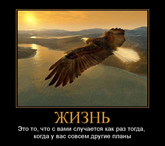 Демотиваторы (30 фото)