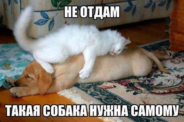 Давайте улыбаться вместе! Давайте улыбаться вместе!