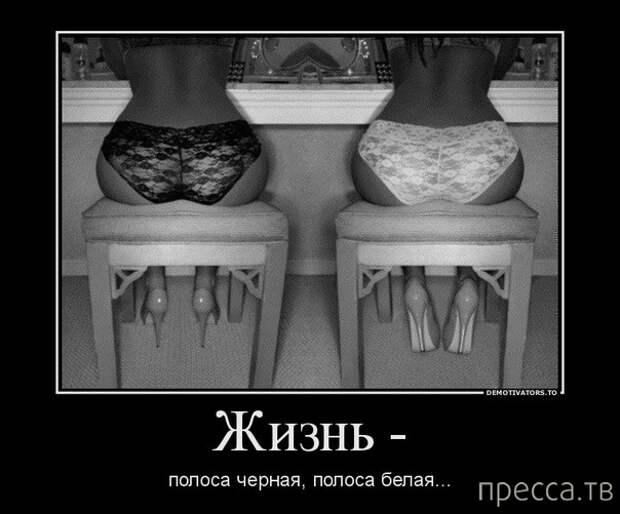 Демотиваторы (30 фото)