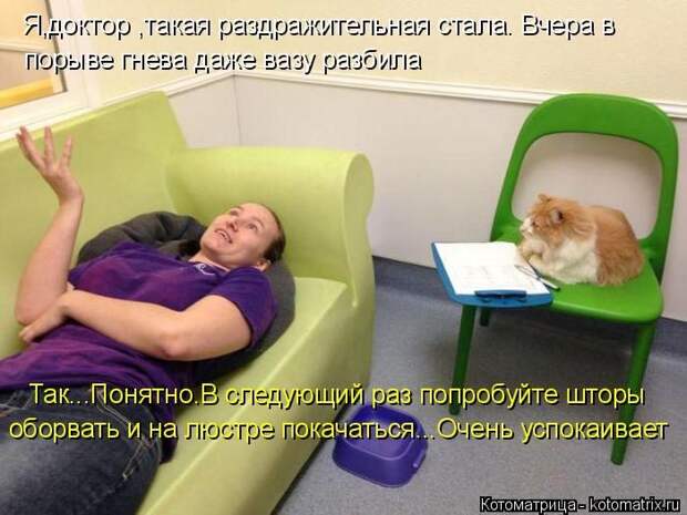 Лучшие котоматрицы недели