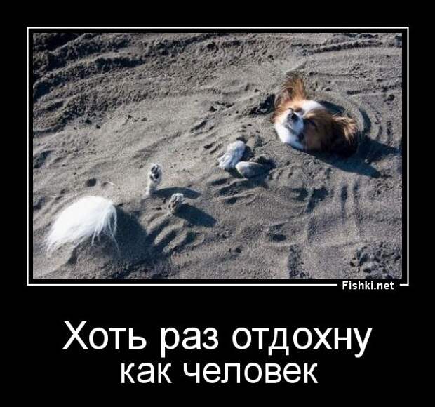 Демотиваторы  демотиваторы, прикол, смех, юмор