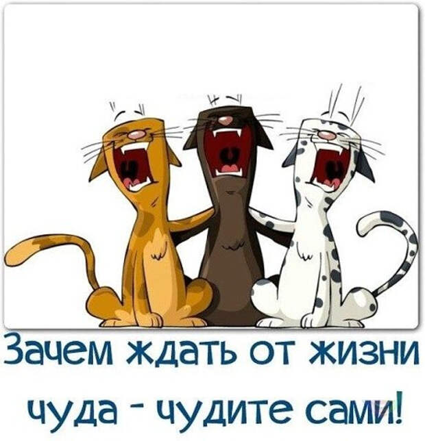 РєРєРєРє (462x480, 164Kb)