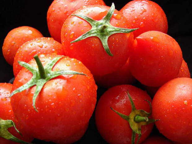 Отправляем томаты на «продленку»