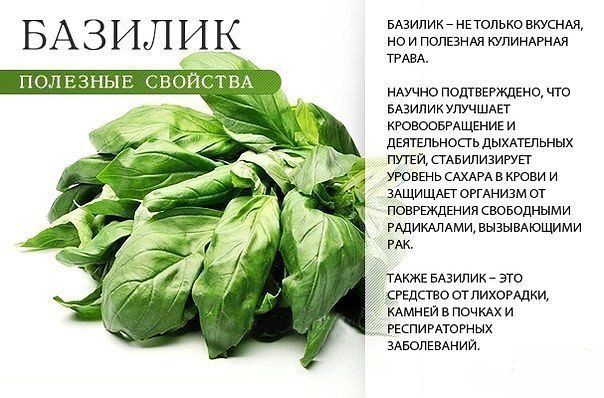 ПОЛЕЗНЫЕ СВОЙСТВА. Лайфхак, ПОЛЕЗНЫЕ СВОЙСТВА, факты