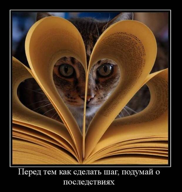 Демотиваторы (42 фото)