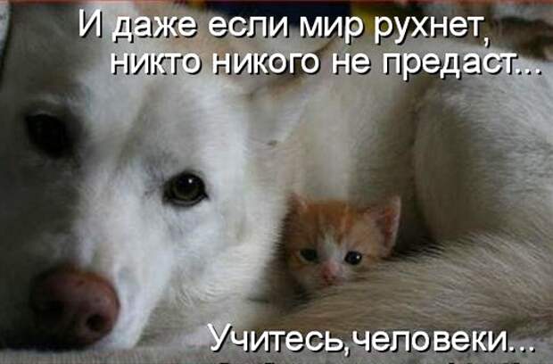 56061815_i_dazhe_esli_ves_mir_ruhnet