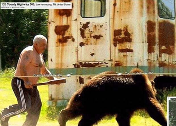 Схватка медведя и человека