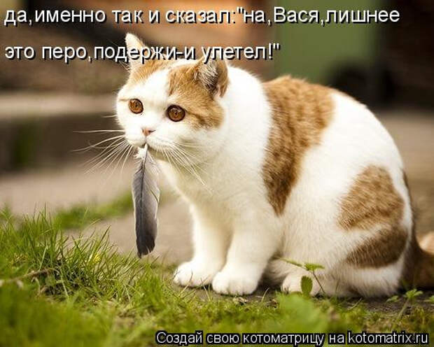 kotomatritsa_A (500x400, 192Kb)