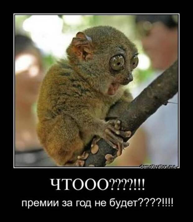 Демотиваторы со смыслом приколы, новая подборка.