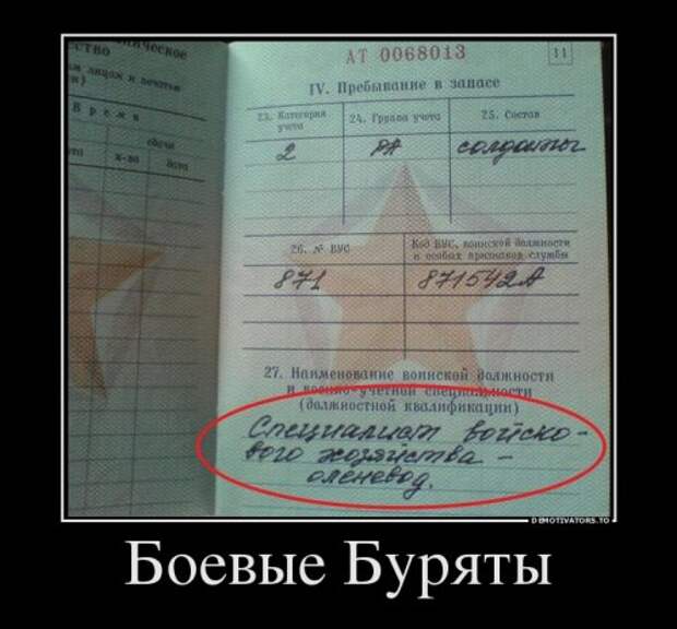 Демотиваторы-новинки для всех (12 шт)