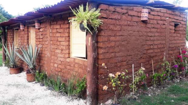 Мексиканский предприниматель строит дома из водорослей