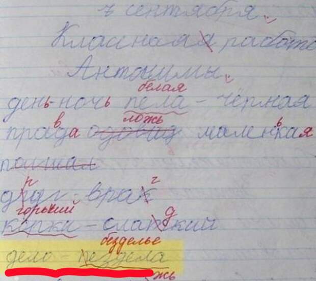 15 перлов из школьных тетрадей 15 перлов из школьных тетрадей дети, перлы, школа