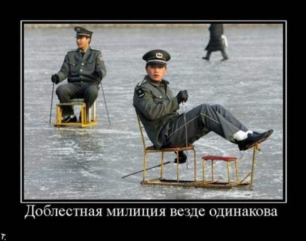 Демотиваторы 13.03.11