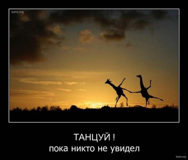 Демотиваторы только прикольные.