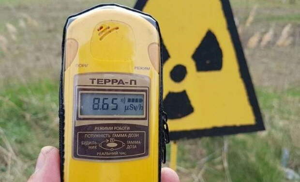 В Подмосковье обнаружен радиоактивный лес
