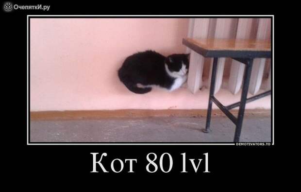 Демотиваторы о разном 9