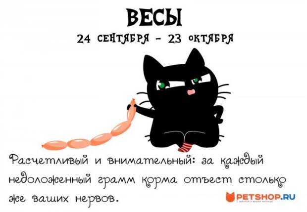 Котячий гороскоп (12 фото) Котячий гороскоп (12 фото)