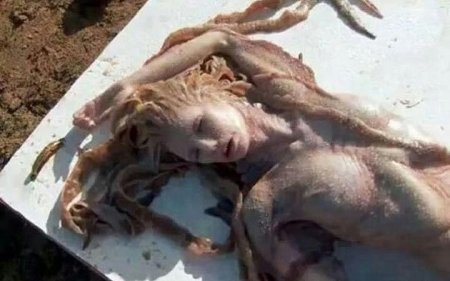 На берегу Средиземного моря нашли русалку, On the shores of the Mediterranean have found a mermaid