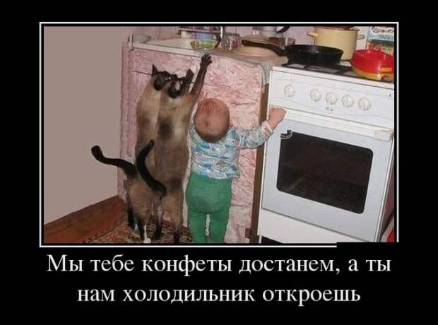 Веселые демотиваторы на субботу (11 фото)