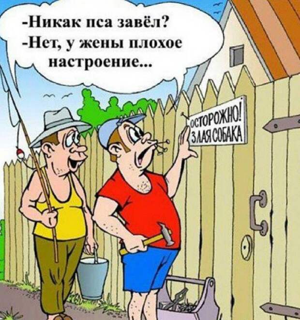 забавные вывески и предупреждения на заборах