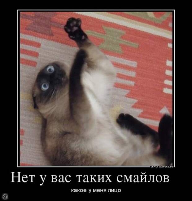 О, горе всем нам! 16