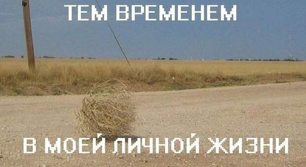 Картинки со смешными подписями картинки, прикол, юмор