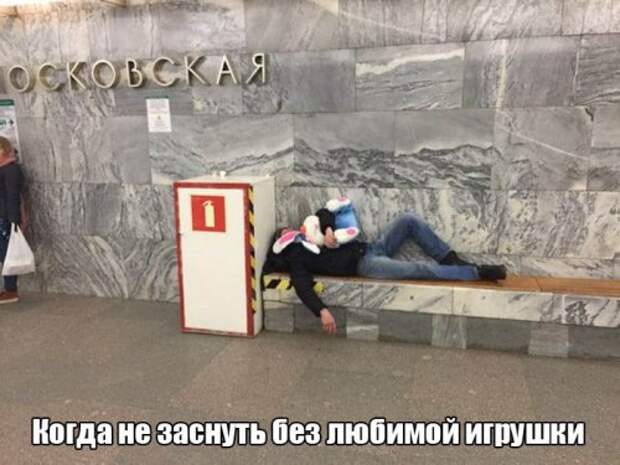 Прикольные картинки для всех (43 шт)