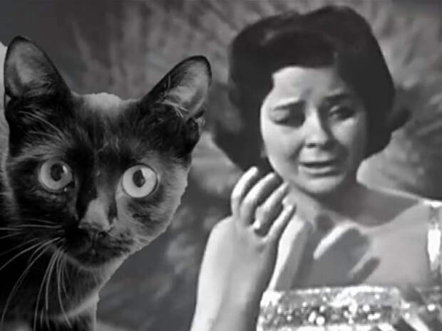 Если "Черный кот" дорогу перейдет - почему муж прячет Тамару Миансарову